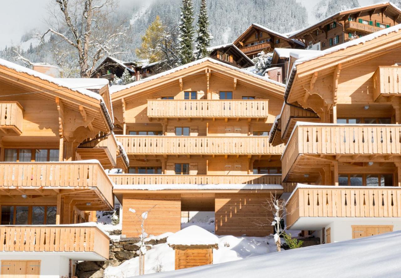 Panoramapark Soleil Chalet E Венген Экстерьер фото